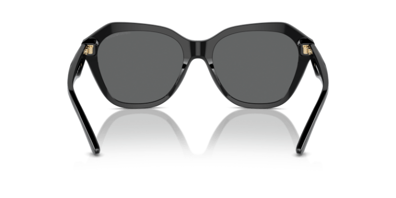 Shiny Black - 0EA4221 8056262038024