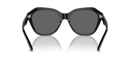 Shiny Black - 0EA4221 8056262038024