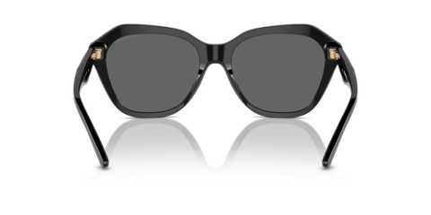 Shiny Black - 0EA4221 8056262038024