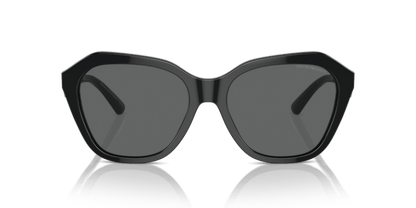 Shiny Black - 0EA4221 8056262038024