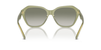 Shiny Opaline Green - 0EA4221 8056262038031