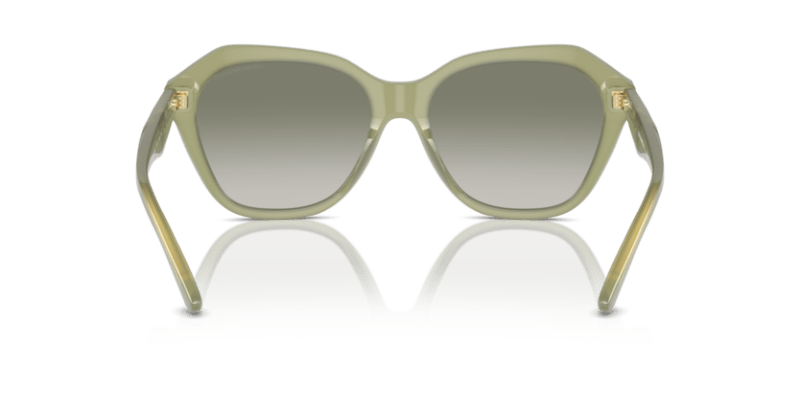 Shiny Opaline Green - 0EA4221 8056262038031