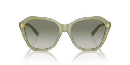 Shiny Opaline Green - 0EA4221 8056262038031