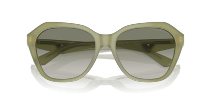 Shiny Opaline Green - 0EA4221 8056262038031