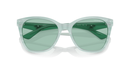 Shiny Striped Green - 0EA4222U 8056262037621