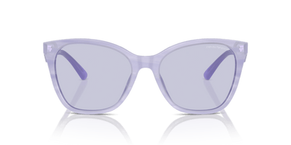 Shiny Striped Lilac - 0EA4222U 8056262037638