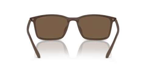 Matte Brown - 0EA4223U 8056262036273