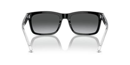 Shiny Black - 0EA4224 8056262049099