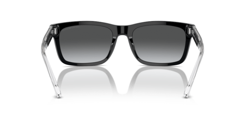 Shiny Black - 0EA4224 8056262049099