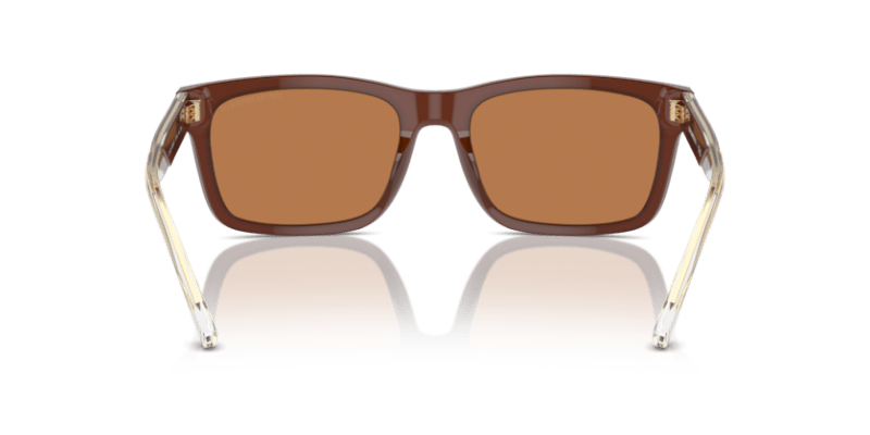 Shiny Opaline Brown - 0EA4224 8056262034750