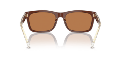 Shiny Opaline Brown - 0EA4224 8056262034750