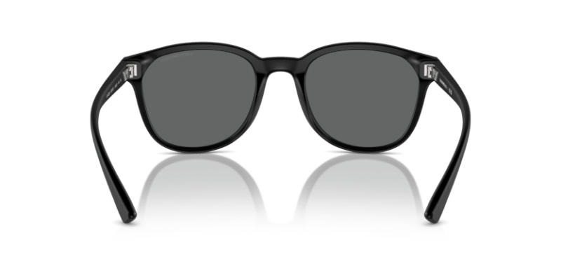 Matte Black - 0EA4225U 8056262078471