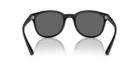 Matte Black - 0EA4225U 8056262078471