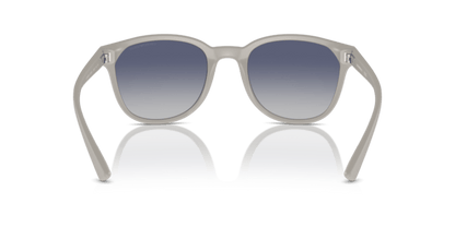 Matte Light Grey - 0EA4225U 8056262078501