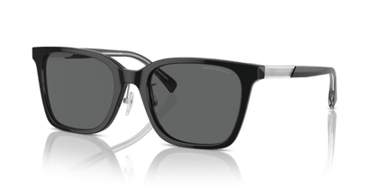 Shiny Black - 0EA4226D 8056262076989