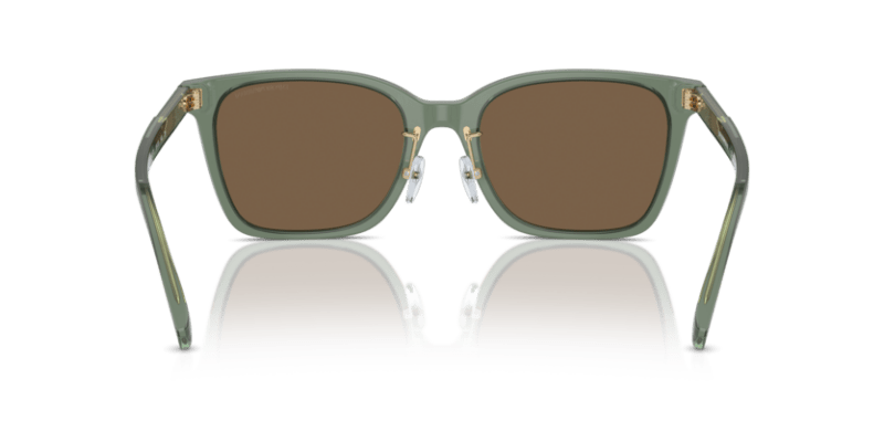 Shiny Transparent Green - 0EA4226D 8056262077009