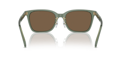 Shiny Transparent Green - 0EA4226D 8056262077009