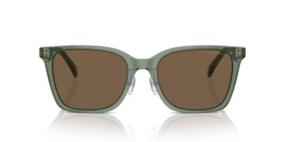 Shiny Transparent Green - 0EA4226D 8056262077009