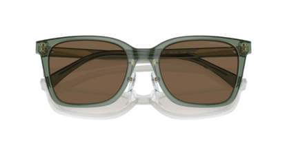 Shiny Transparent Green - 0EA4226D 8056262077009