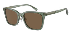 0EA4226D - Emporio Armani - (Shiny Transparent Green) Dark Brown - 55 - 20 - 145 MM - Ardor Eyewear 8056262077009