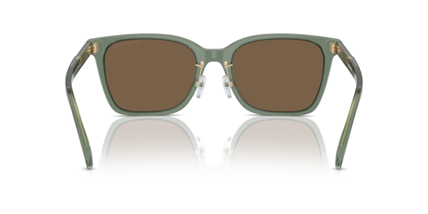 0EA4226D - Emporio Armani - (Shiny Transparent Green) Dark Brown - 55 - 20 - 145 MM - Ardor Eyewear 8056262077009