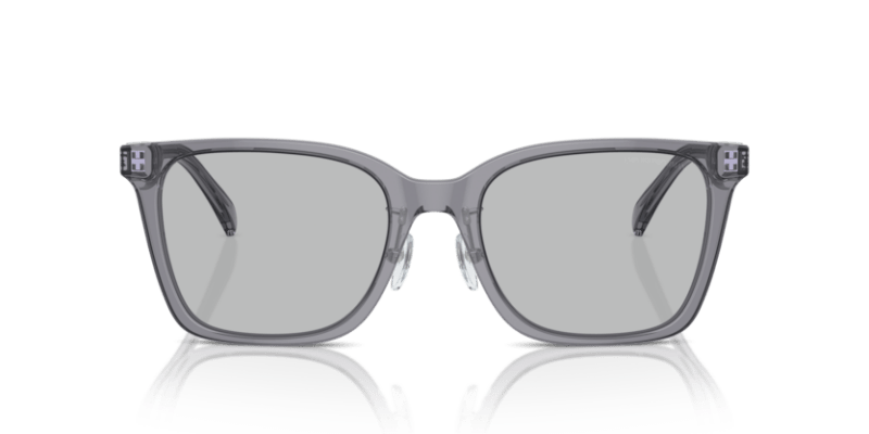 Shiny Transparent Grey - 0EA4226D 8056262076996