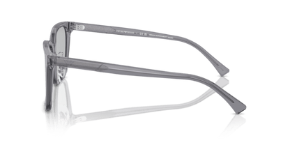 Shiny Transparent Grey - 0EA4226D 8056262076996