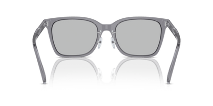 Shiny Transparent Grey - 0EA4226D 8056262076996