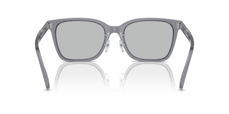 Shiny Transparent Grey - 0EA4226D 8056262076996