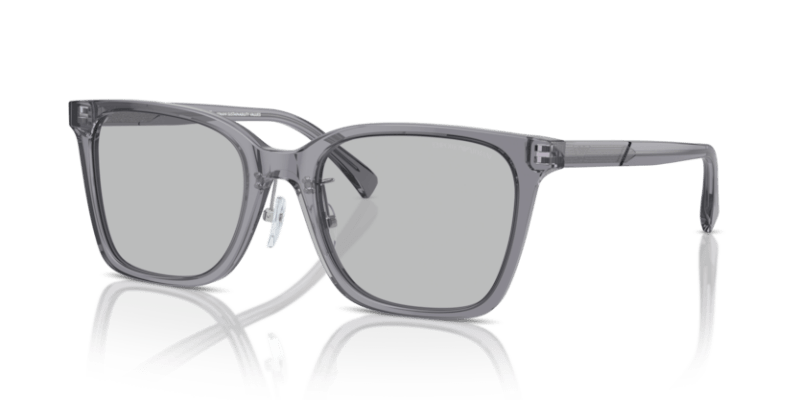 Shiny Transparent Grey - 0EA4226D 8056262076996