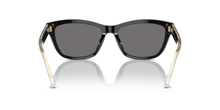 0EA4227U - Emporio Armani - (Shiny Black) Dark Grey Polar Polarized - 56 - 17 - 140 MM - Ardor Eyewear 8056262034804