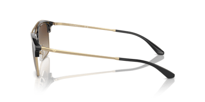 Shiny Black/Matte Pale Gold - 0EA4228 8056262038987