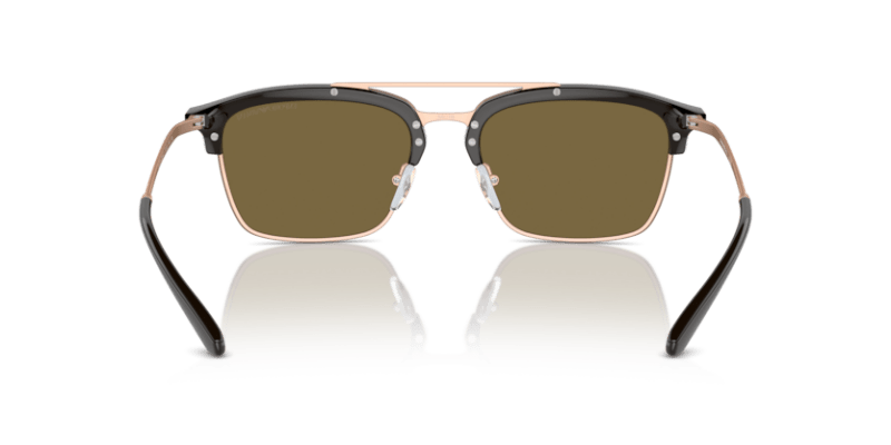 Shiny Brown/Matte Pink Gold - 0EA4228 8056262039014