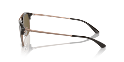 Shiny Brown/Matte Pink Gold - 0EA4228 8056262039014