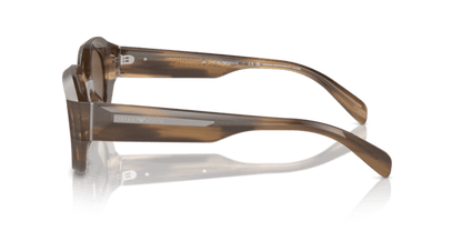 Shiny Striped Brown - 0EA4230U 8056262078402