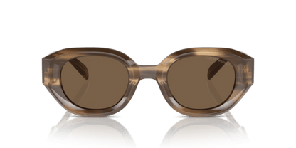 Shiny Striped Brown - 0EA4230U 8056262078402