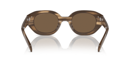 Shiny Striped Brown - 0EA4230U 8056262078402