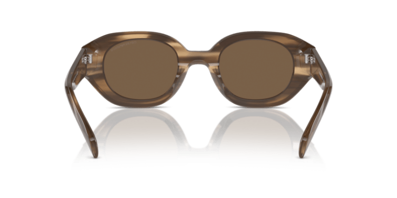 Shiny Striped Brown - 0EA4230U 8056262078402