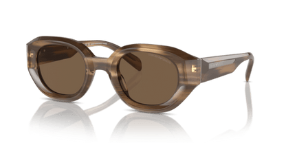 Shiny Striped Brown - 0EA4230U 8056262078402