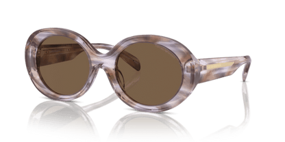 Striped Brown - 0EA4231U 8056262142783