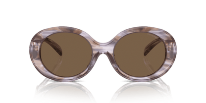 Striped Brown - 0EA4231U 8056262142783