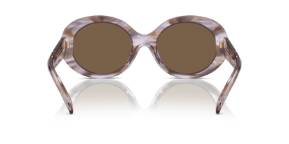 Striped Brown - 0EA4231U 8056262142783