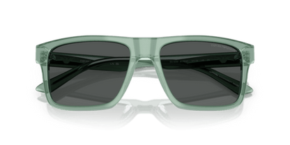 Iridescent Green - 0EA4232 8056262234105