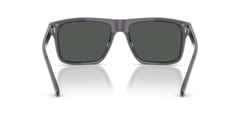 Transparent Dark Grey - 0EA4232 8056262234075