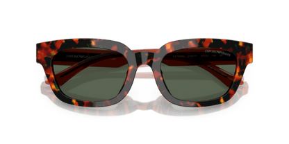 Havana Brown - 0EA4233U 8056262234204