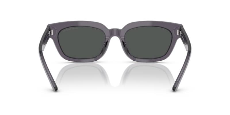 Transparent Grey - 0EA4233U 8056262234174