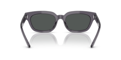 Transparent Grey - 0EA4233U 8056262234174