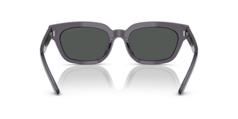 Transparent Grey - 0EA4233U 8056262234174