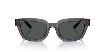 Transparent Grey - 0EA4233U 8056262234174