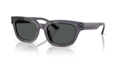 Transparent Grey - 0EA4233U 8056262234174